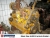 Cat Motor / -, Autre camion, Transport