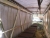 Gangway, Konteynerler, İş Makinaları