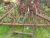 Kverneland 4,8 m C- tandsharve, Grades, Agricultura