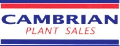 Cambrian Plant Sales