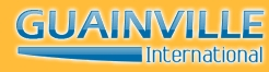 GUAINVILLE INTERNATIONAL