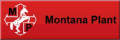 Montana Plant