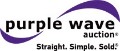Purple Wave Auction