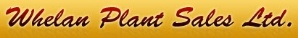 Whelan Plant Sales Ltd