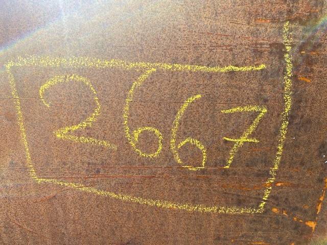 Cascade (2667) Staplerklammer /forks