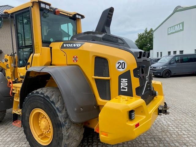 Volvo L 70 H MIETE / RENTAL (12005472)
