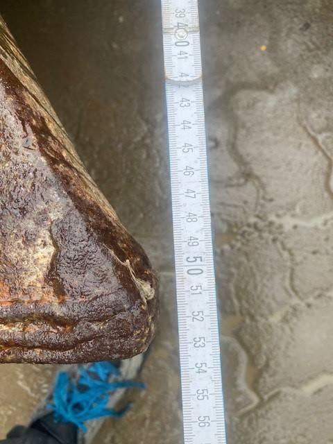 Vibraram AS 2500 D (12005596)