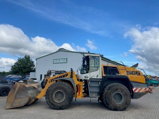 Liebherr L 566 XPower MIETE / RENTAL (12005192)