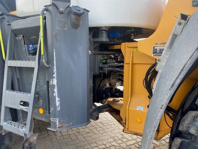 Liebherr L 566 XPower MIETE / RENTAL (12005192)