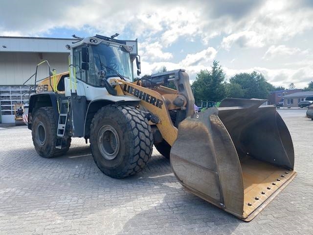 Liebherr L 566 XPower MIETE / RENTAL (12005192)