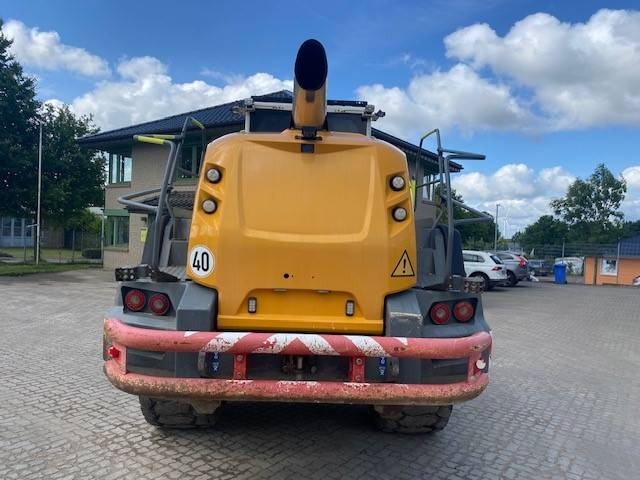 Liebherr L 566 XPower MIETE / RENTAL (12005192)