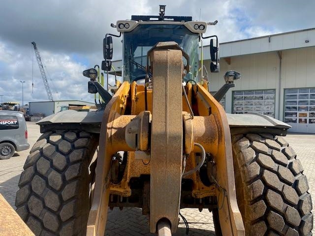 Liebherr L 566 XPower MIETE / RENTAL (12005192)